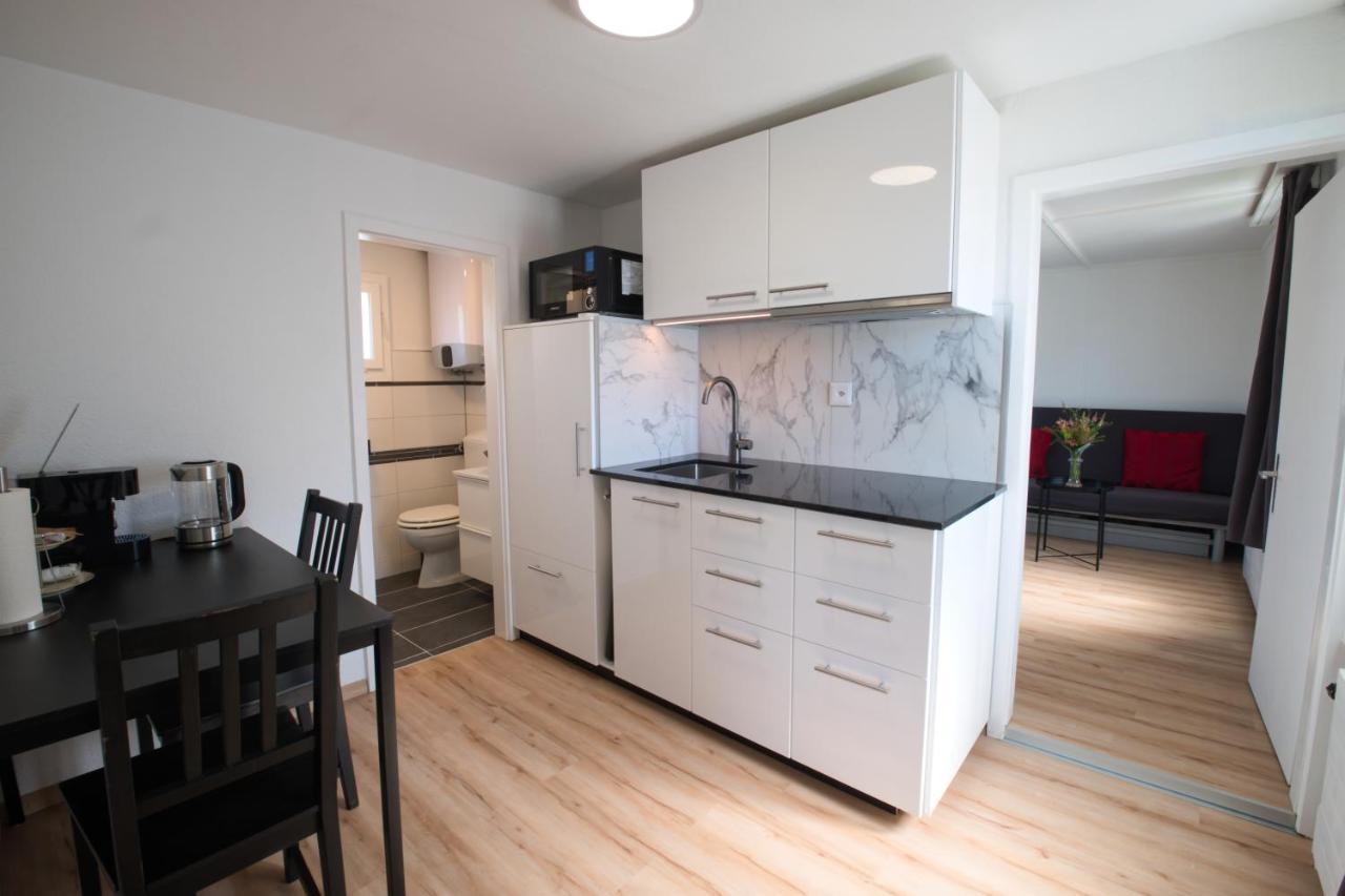 Lake Getaway Apartment With Private Entrance, Right On The Lake Constance Cycle Path, Barbecue Area, Free Wifi, Netflix And Free Bikes Salmsach Eksteriør bilde