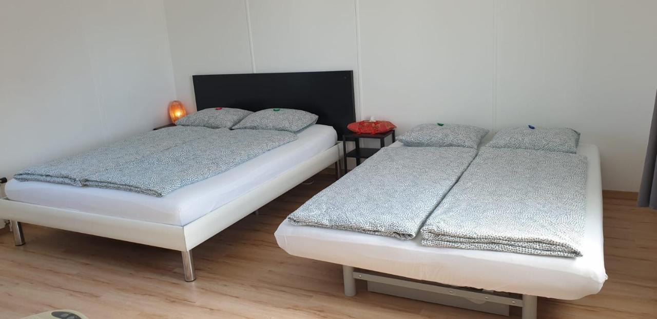 Lake Getaway Apartment With Private Entrance, Right On The Lake Constance Cycle Path, Barbecue Area, Free Wifi, Netflix And Free Bikes Salmsach Eksteriør bilde